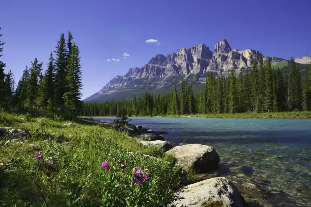 Bow River scenic view - Alberta fly fishing destination
