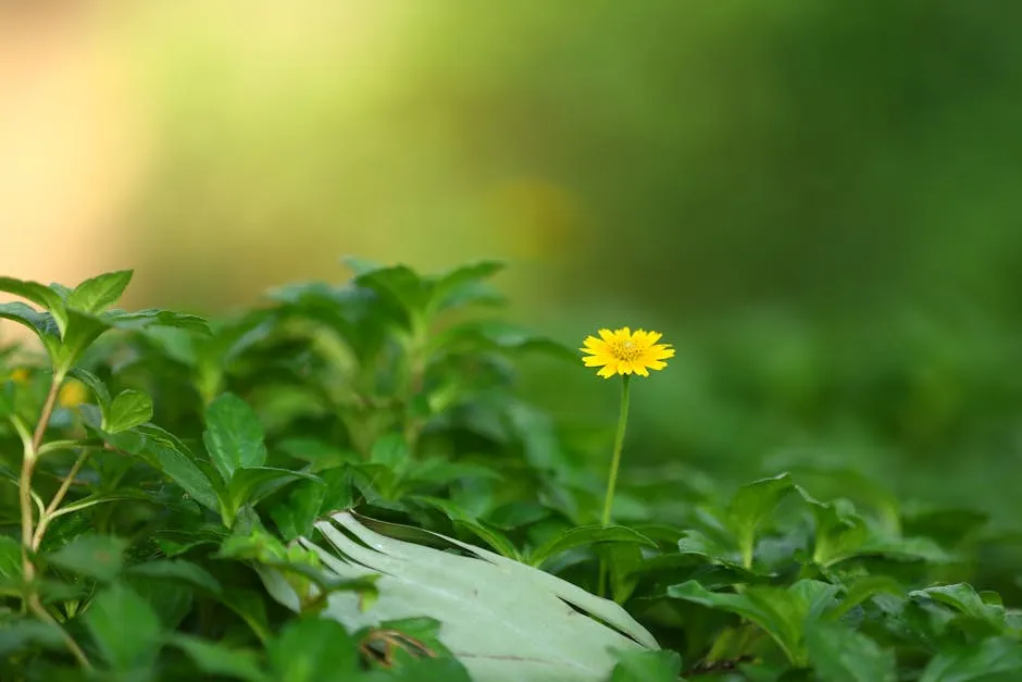 Roofing materials and tools on residential roof